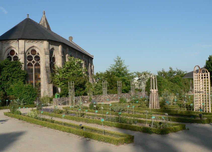 Jardin Botanique de l'Evêché, , France